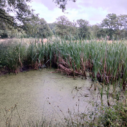 GEMAPI- BIODIVERSITE